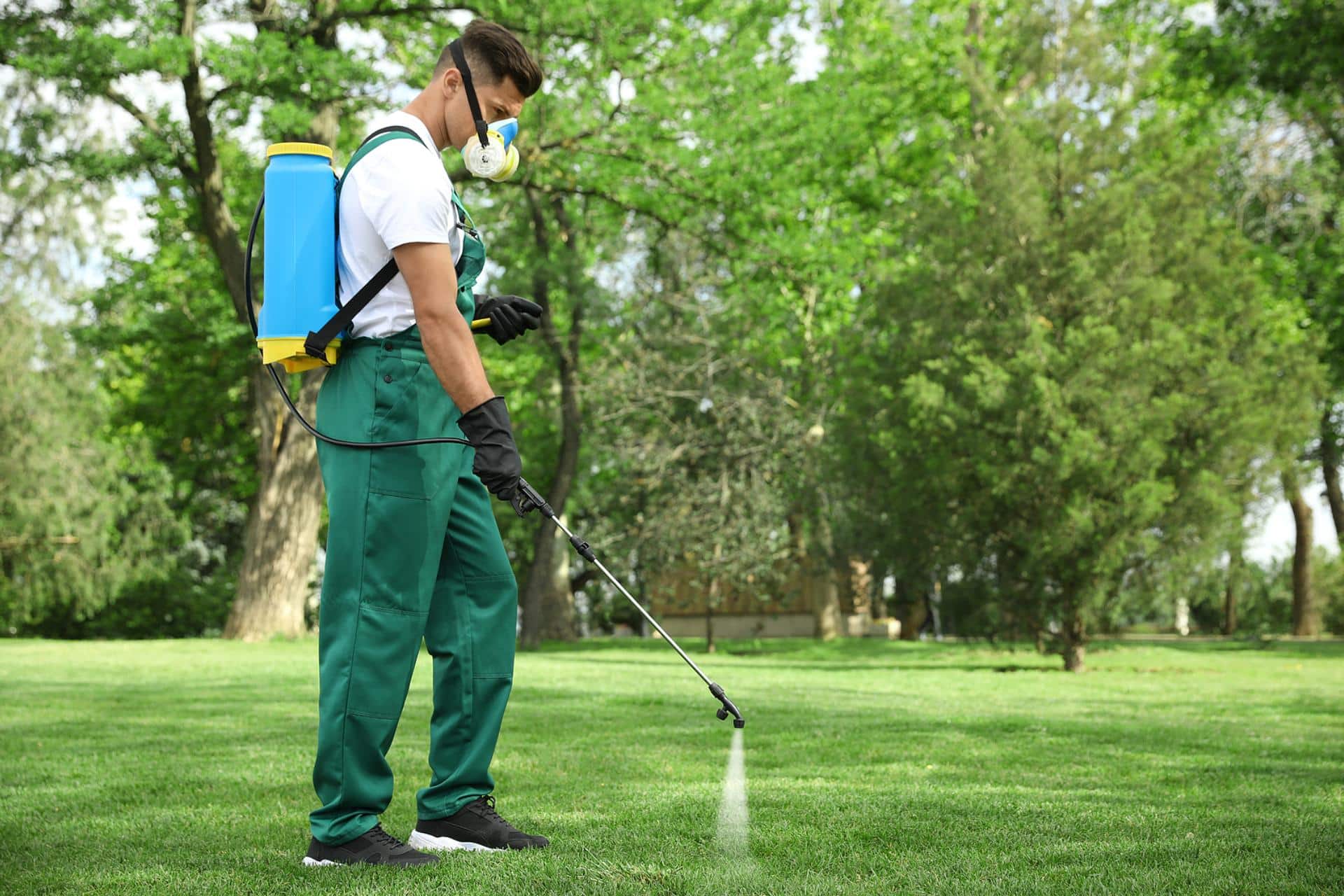 Residential Pest Control Solutions You Need