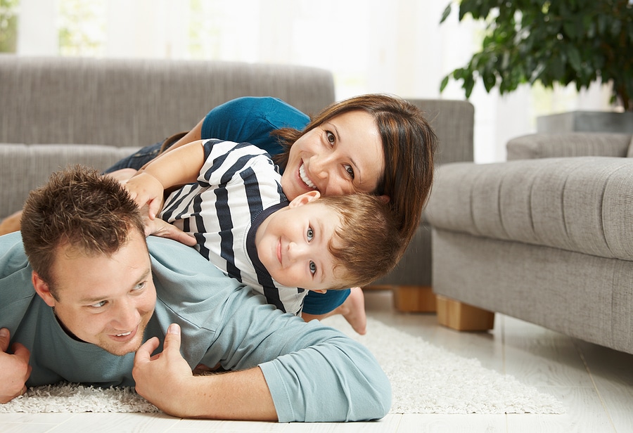 Pest Control Services in La Palma CA
